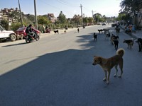 <div id=myiframe><iframe src=http://www.facebook.com/plugins/like.php?href=http%3A%2F%2Fsajha%2Ecom%2Fsajha%2Fhtml%2Findex%2Ecfm%3Frecommendations%3D1%26id%3D190%26photofile%3DIMG%5F20161107%5F141539%2Ejpg&layout=standard&show_faces=false&share=true&width=450&action=like&colorscheme=dark&height=15 scrolling=no frameborder=0 allowTransparency=true></iframe></div>